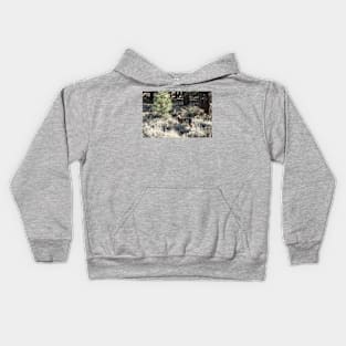 Deer, Wildlife, Mule Deer, Buck, Nature, Gifts Kids Hoodie